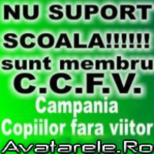 ccfv - da sau nu