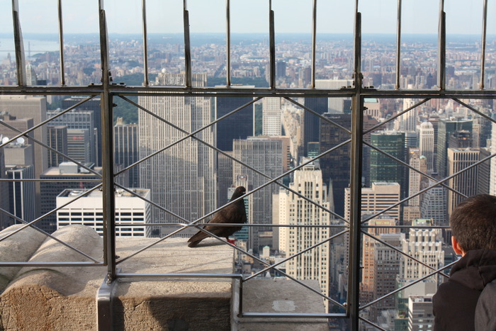 IMG_1921 - New York - 2009