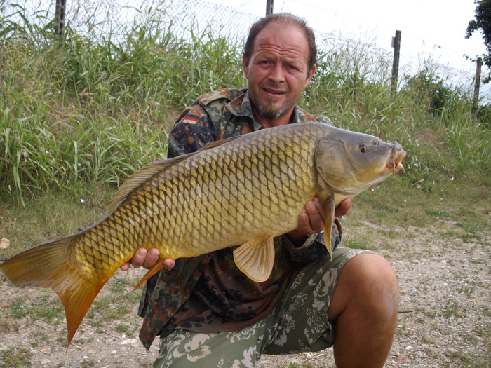 lacul bellaria 2009 august 079