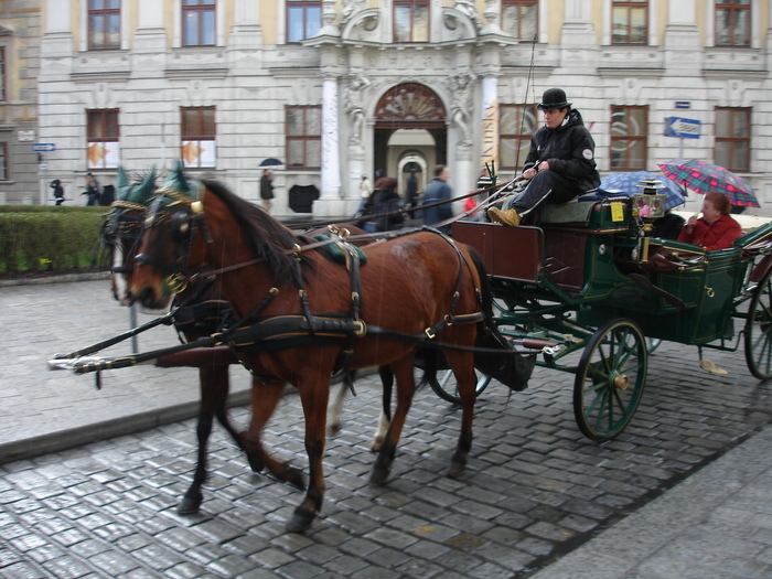 DSC03160