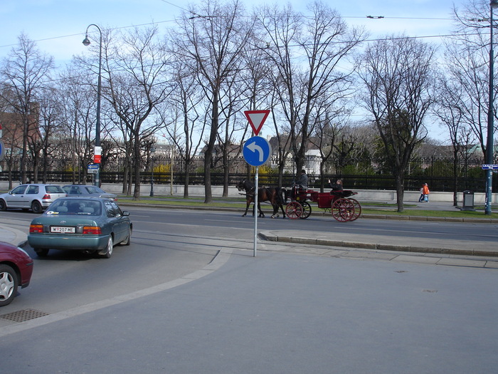 DSC05458