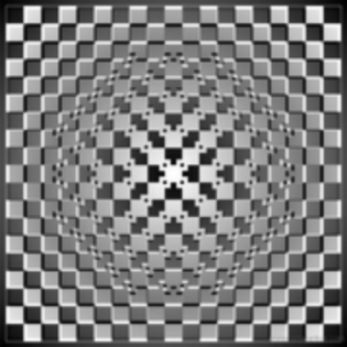 13251663_GQXEBWYLZ