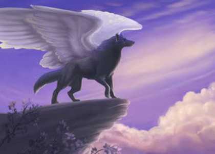 winged_wolf - Lupi