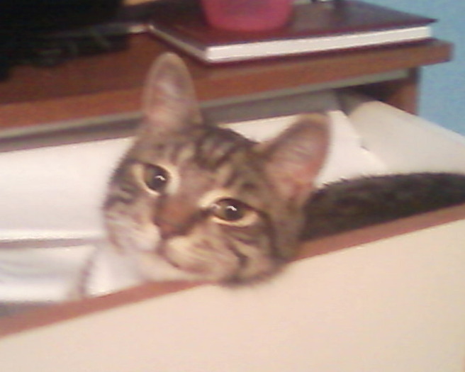 Sertarul,loc preferat