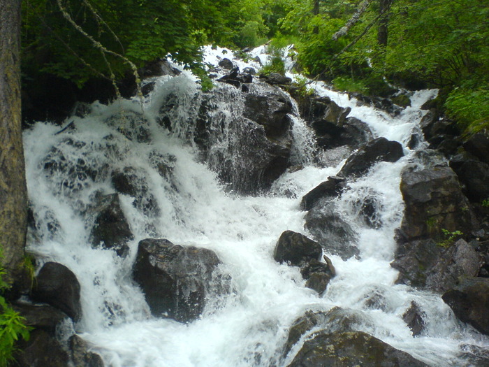 DSC00329