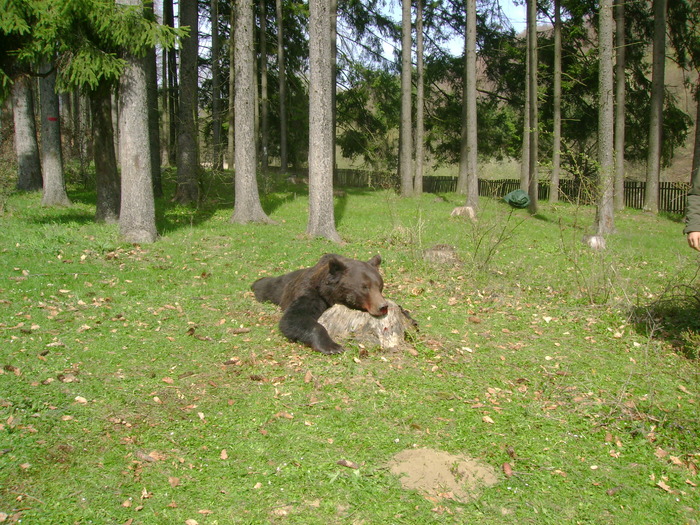 DSC03659 - urs 2010