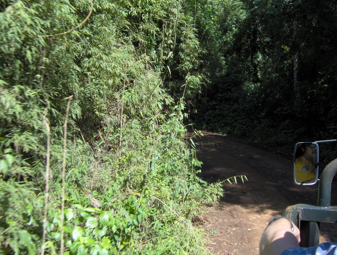 Intrarea in Jungla Iguazu
