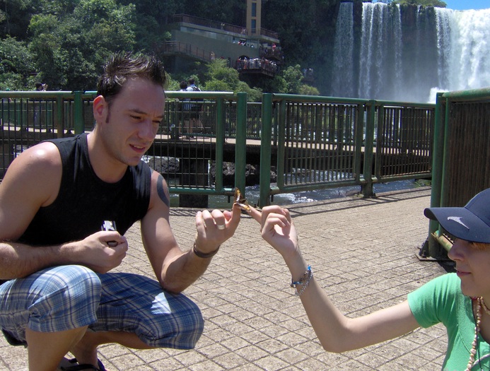 fluturi in mii de culori