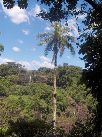 PTO.IGR-15-02-08 1º 050