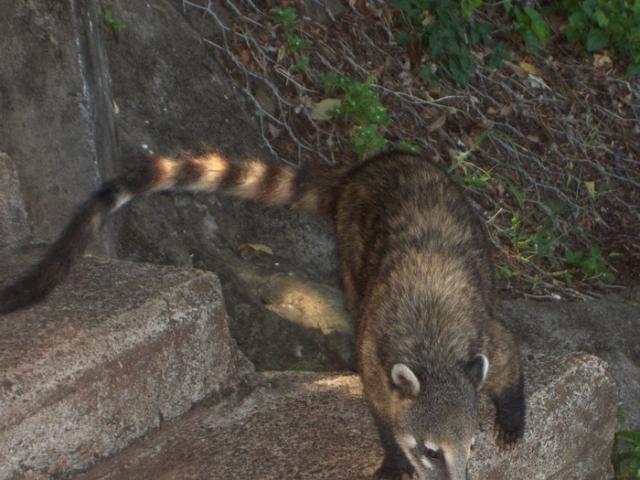 PTO.IGR-15-02-08 1º 019