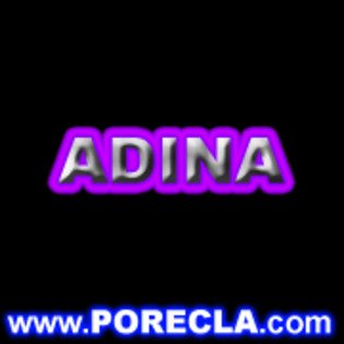 504-ADINA avatar server - porecle