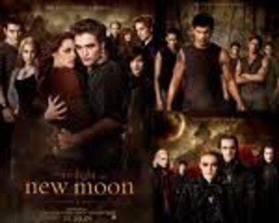images (11) - New Moon And Twilight