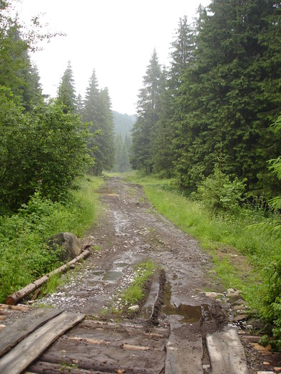 DSC02024
