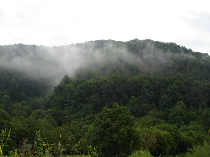 DSC02034