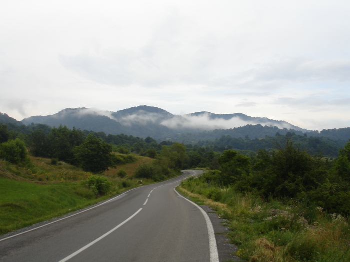 DSC02038