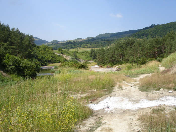 DSC02053