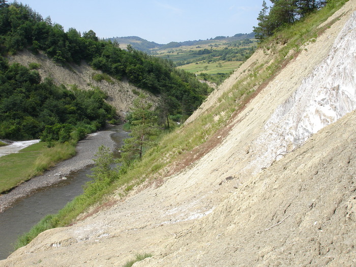 DSC02064