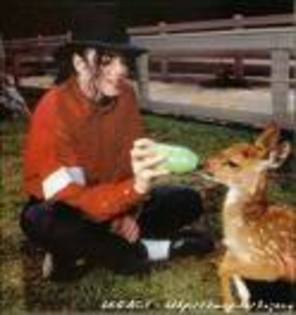 mj animale5 - Michael cu animale