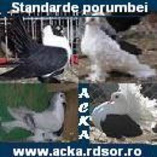 Acka site: http://acka.rdsor.ro/