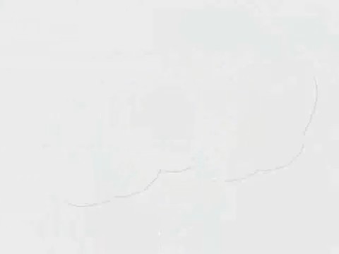 bscap0105 - Spioanele