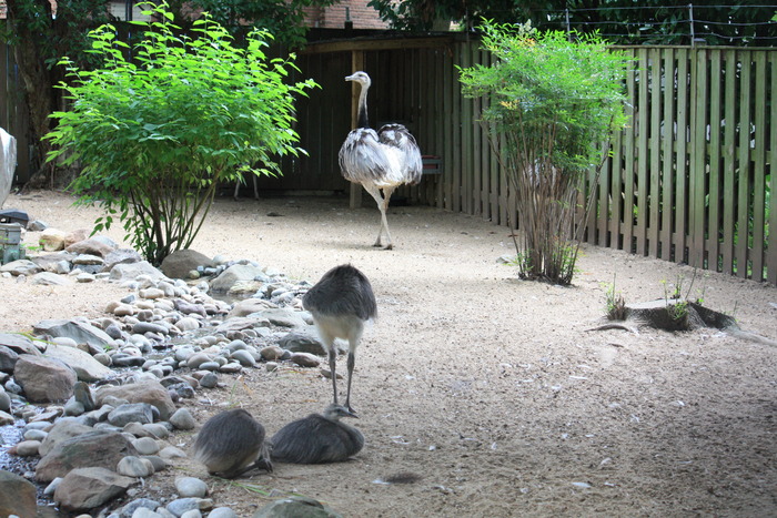 IMG_2915 - Zoo - 2009