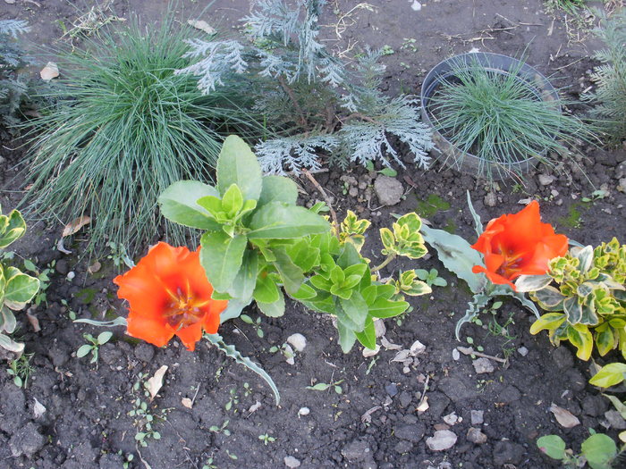 P4210038
