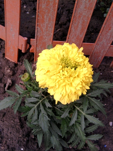 SP_A0408