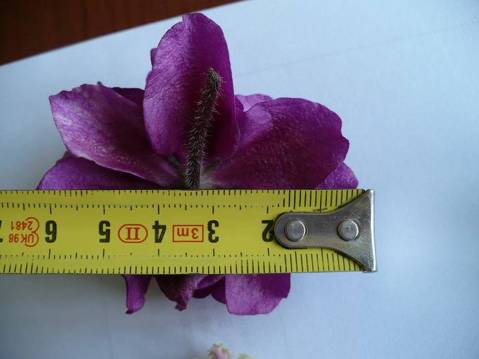 Ek Persian Empress 6,5 cm