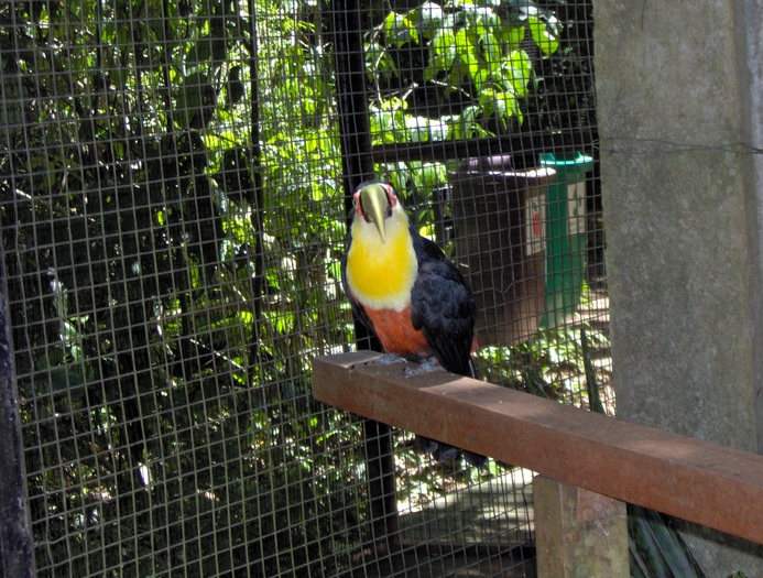 parcul bootanic - Brazilia - Argentina