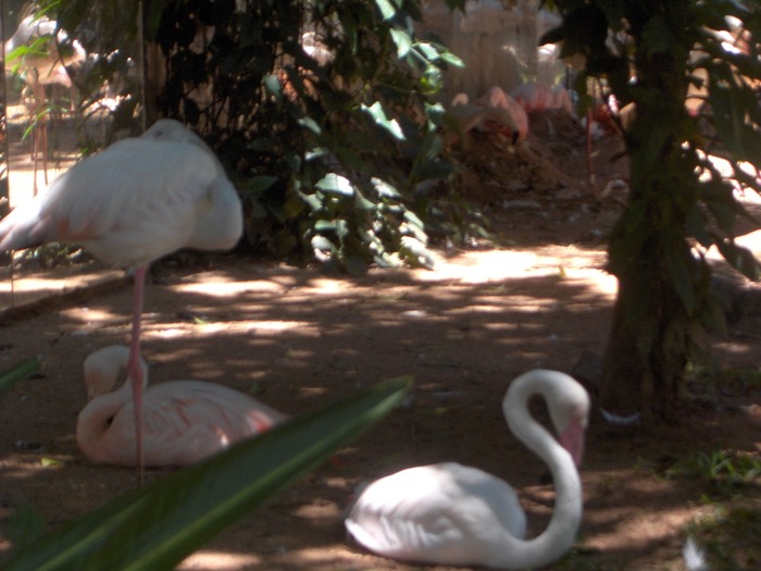 PTO.IGR-15-02-08 1º 099