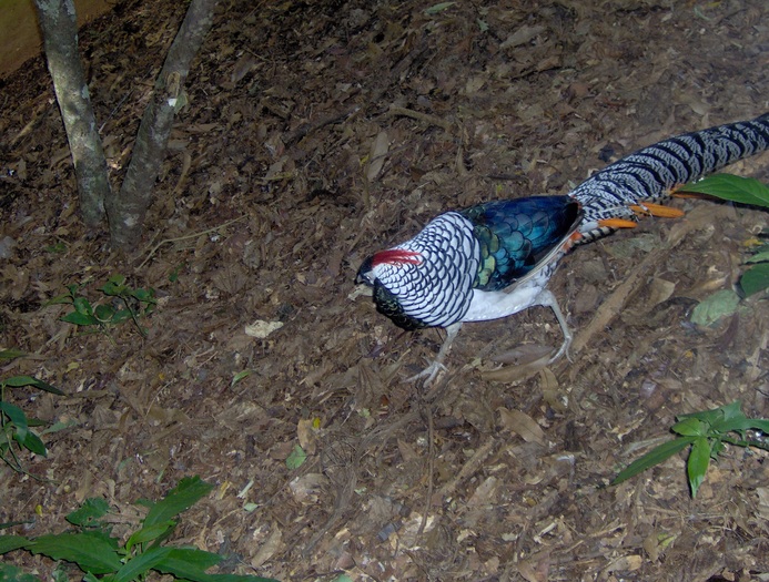 HPIM0259 - Argentina