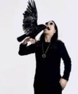 images[11] - ozzy