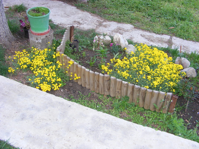Gr 2010 052