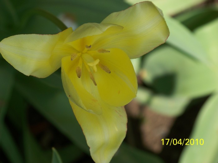 100_5548 - 15 22 aprilie 2010