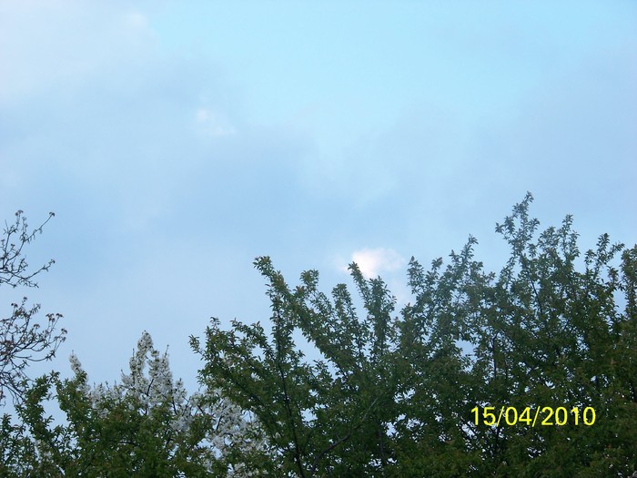 100_5355 - 15 22 aprilie 2010