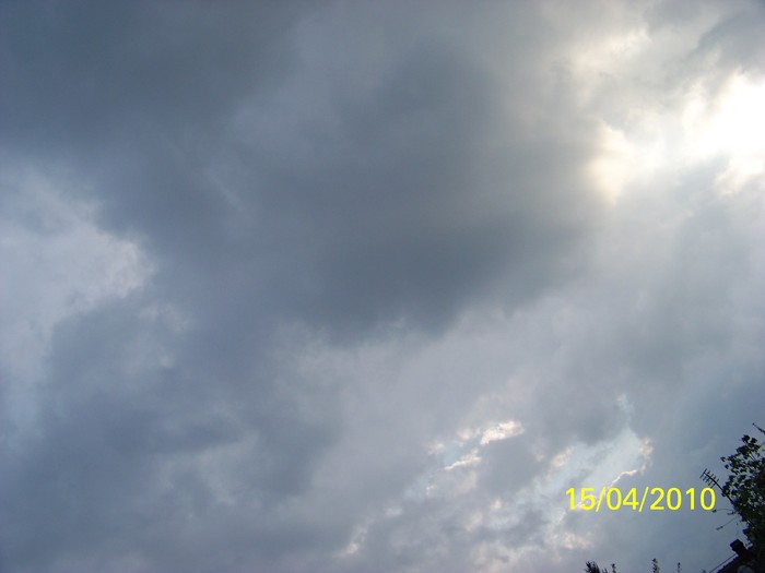 100_5376 - 15 22 aprilie 2010