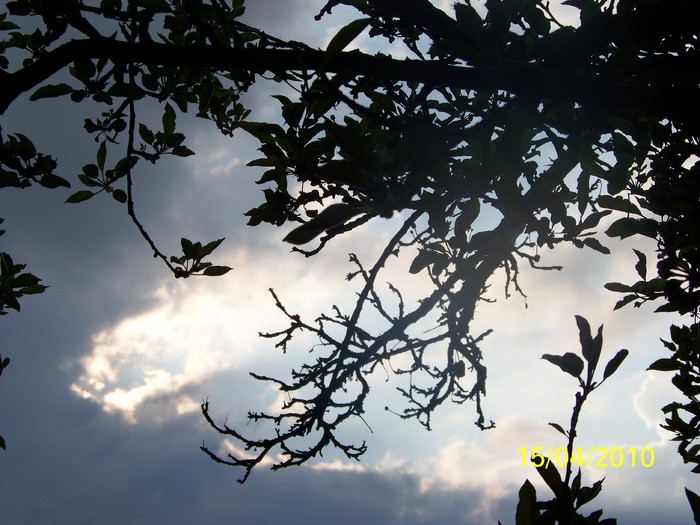 100_5385 - 15 22 aprilie 2010