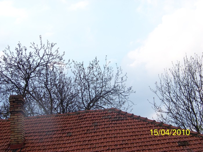 100_5397 - 15 22 aprilie 2010