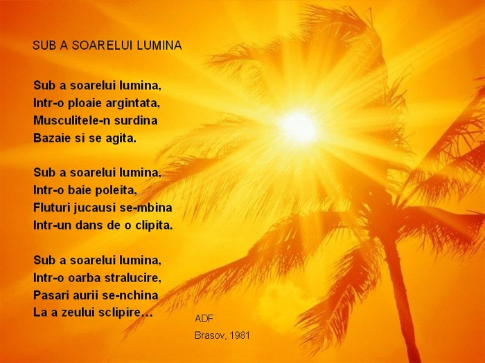 1981 - Sub a soarelui lumina