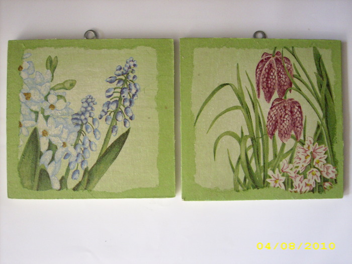 IMG_4785; 10 RON/BUC
