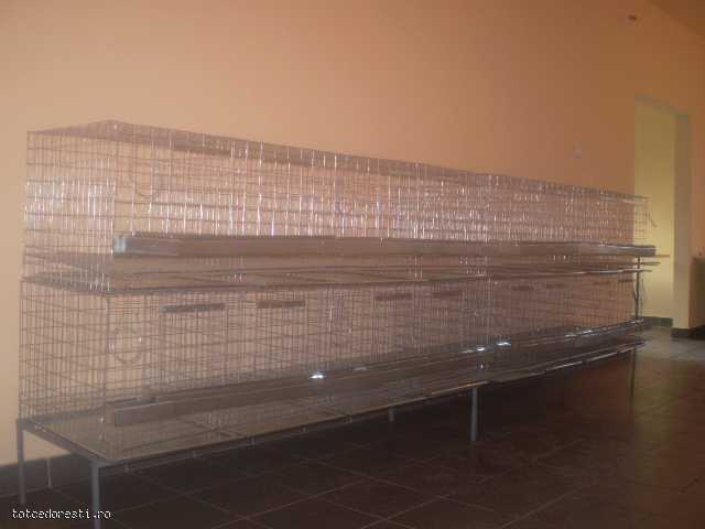 custi_si_baterii_gaini_ouatoare_baterii_si_custi_p-anunt-1d37232