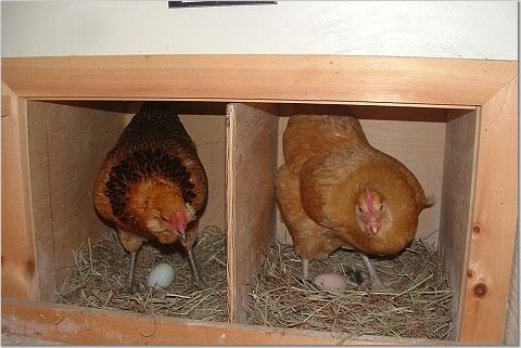 47b7df27b3127cce80d66b5b602c0000001