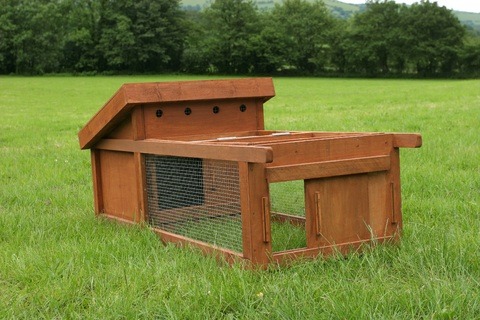 chicken-coop-brown - modele de cotet
