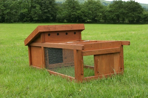 chicken-coop-brown