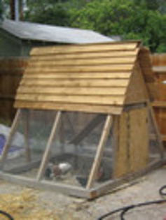 ChickenCoopJG100 - modele de cotet