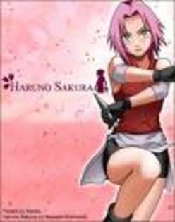 k - sakura