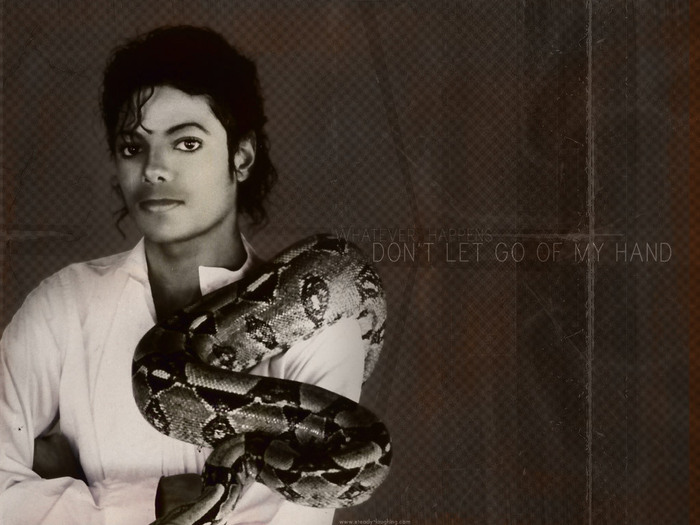 mjmichaeljackson1061362_1024_768