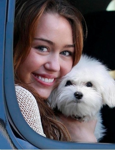 57 - 00club miley cyrus1
