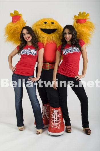 normal_01~5 - bella twins sedinta foto11