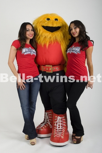 normal_09~1 - bella twins sedinta foto11